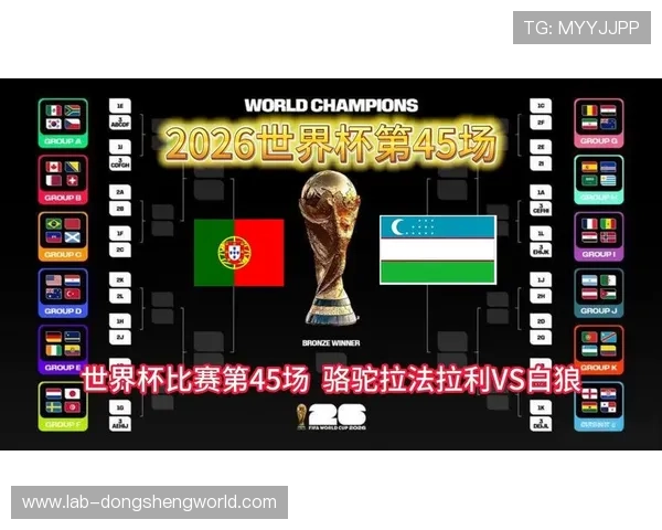 2026年世界杯葡萄牙队与乌兹别克斯坦队焦点对决全面分析与赛前展望