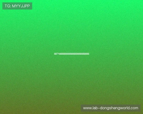 探索PA视讯集团官网多样化的游戏产品与优质客户服务体验指南 探索PA视讯集团官网多样化的游戏产品与优质客户服务体验指南
