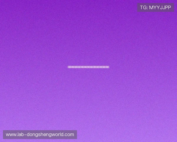 巨星娱乐链接聚焦世界杯明星球员的训练生活与比赛准备全纪录